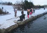 IMG_3894 (1280x960).jpg (96701 bytes)
